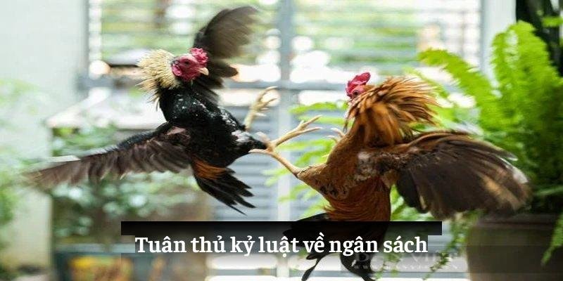 Sàn chọi gà với độ bảo mật vô cùng cao
