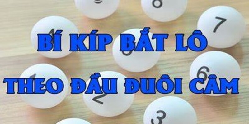 Cách xác định lô câm hiệu quả và chính xác nhất