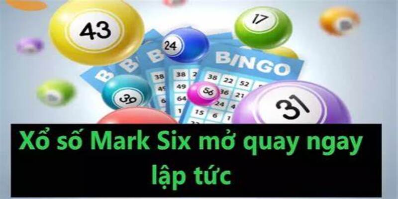 Khái niệm cơ bản để nhận biết về Mark Six